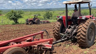 2 tratores Massey Ferguson 290 cortando terra no sítio capivara de cacimba de dentro pb