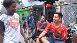 PITBULL PUPPIES FOR PAPI JOHN KEI | PABLITO WITH KEILAND REFRA