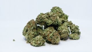 Research Shows Humans Need Cannabinoids. It's in Breastmilk!
