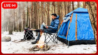 🔴Solo Camping In Nature #Survival #Bushcraft #Outdoors #Camping #Asmr #Live