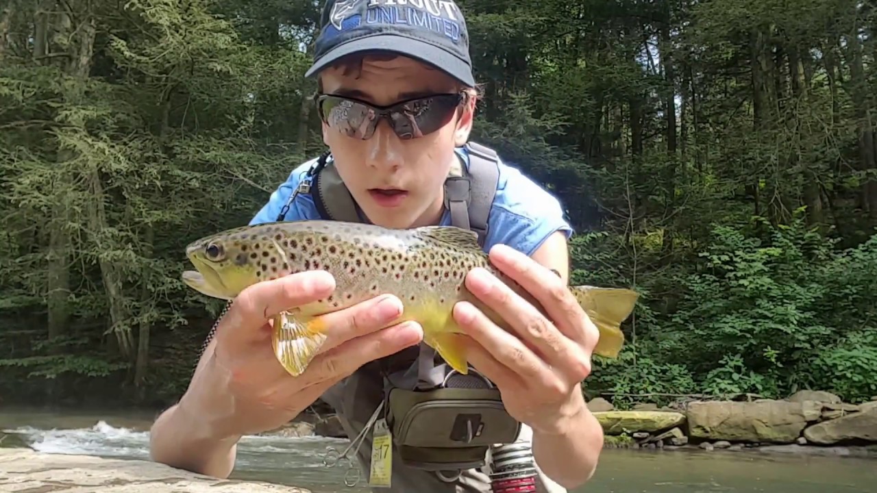 Fly Fishing Spruce Creek Pa