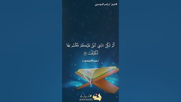 سورة المؤمنون من آيه{105}الى الاخير بصوت الشيخ ياسر الدوسري