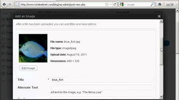 How to Insert and Format Images in WordPress