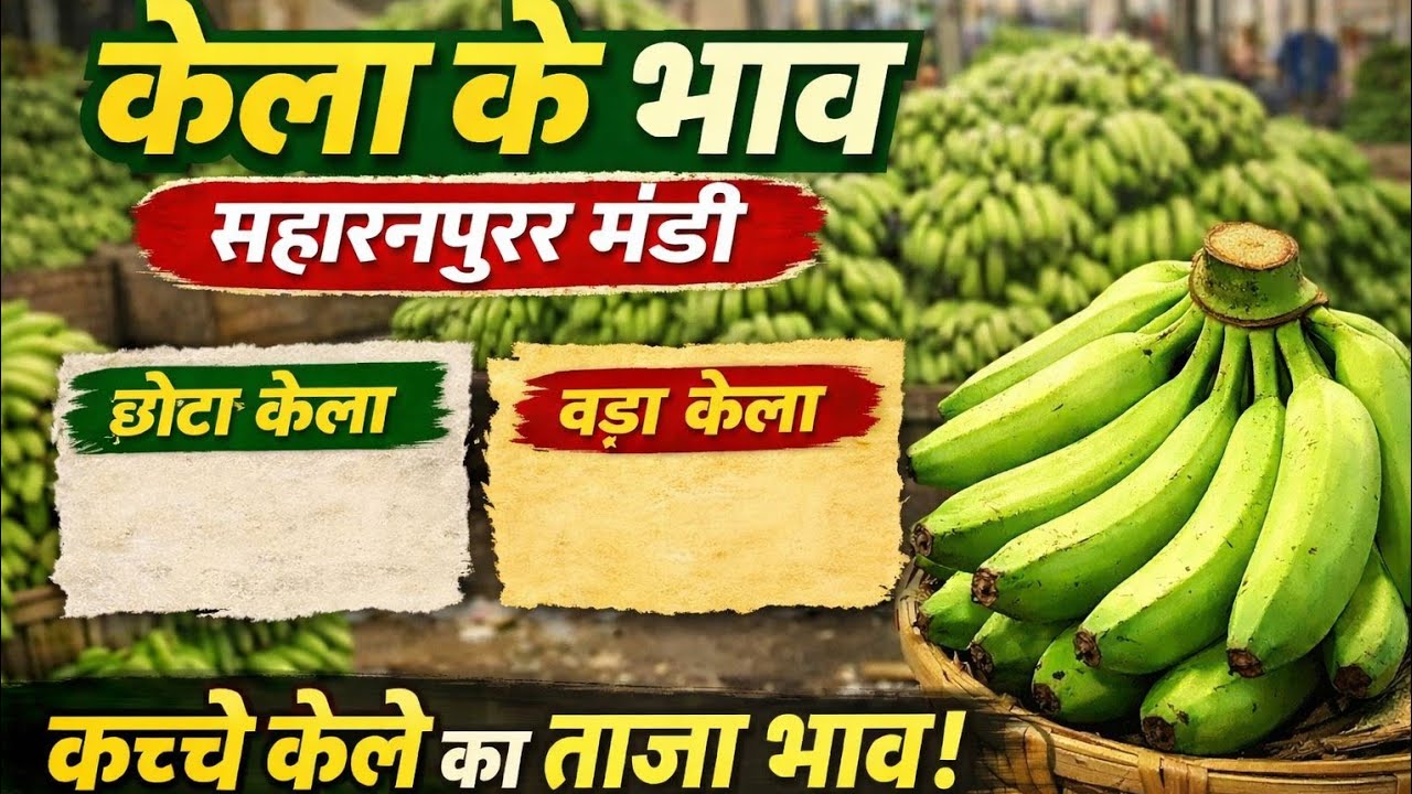 Saharanpur Mandi me Kachcha Kela – Market Update