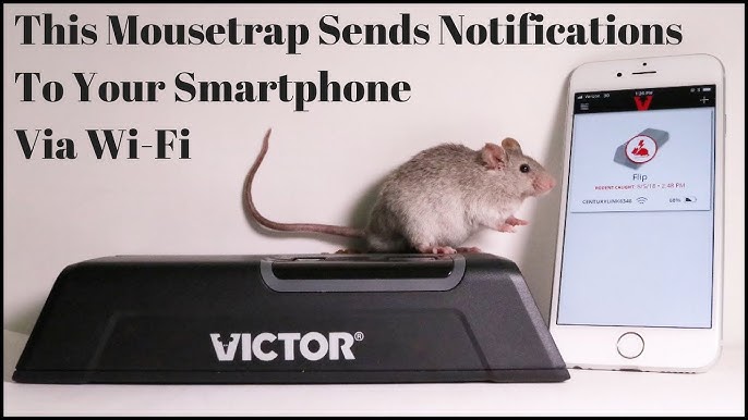 Buy the Woodstream M250S Victor Brand Electronic Humane Kill Mouse Trap