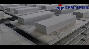 Upgrade your concrete block factory by TPM offline dry block cuber (offline dry brick palletizer)