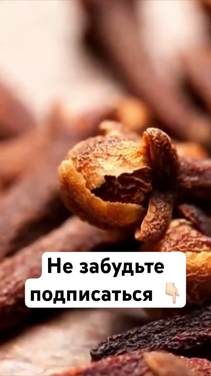 бордовые гвоздики