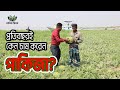 প্রতিবছরই চাষ করেন পাকিজা, কেন?