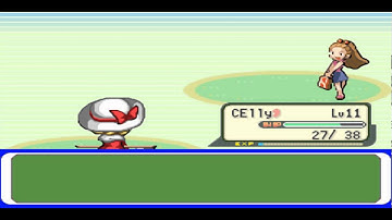 Touhoumon World Link - Ichii (Passer-By)