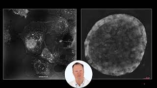 [닥터바이오] [Tomocube 공식총판 대리점] Holotomographic Microscopy 3D 현미경, HT X1 소개, Multi-well Imaging!