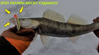 Раттлин на судака с Aliexpress | Косит судака не хуже оригинала.
