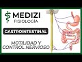 Clase 43 Fisiología Gastrointestinal - Motilidad y Control Nervioso