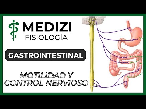 Video: ¿Qué apéndices) proporcionan motilidad?