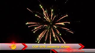 CGF 978