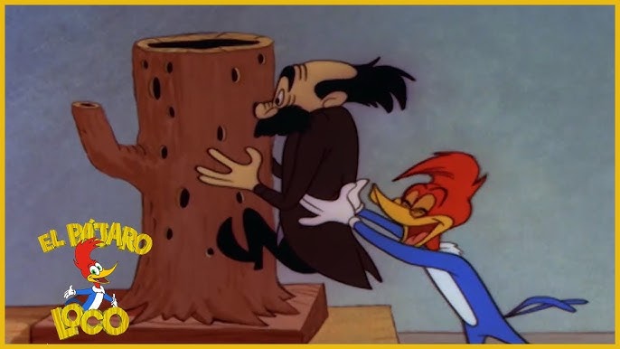 Imagorama - •EL SHOW DEL PÁJARO LOCO (1957-1958) Revoltoso y alocado pájaro  carpintero con la risa más famosa de los dibujos animados Creado por Walter  Lantz en 1940 para Universal Aventuras disparatadas