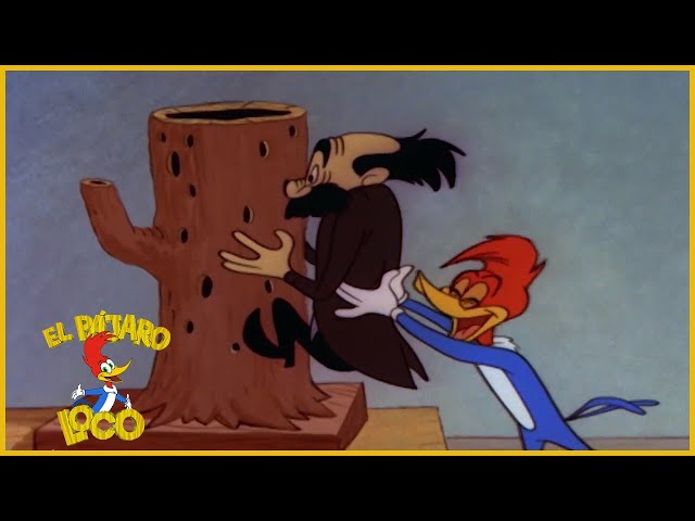 CARTOONS EN EL RECUERDO: EL PÁJARO LOCO