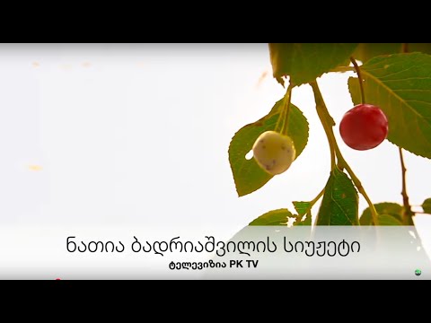 ბრმის კვირა - მამა ბენიამინი (06.06.21 წ.) ნათია ბადრიაშვილის სიუჟეტი