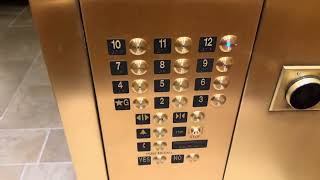 Modded Dover Traction Elevators ~ The Mutiny Hotel ~ Miami, FL