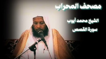 تلاوة تلامس روحك | سورة القصص بصوت محمد أيوب من مسجد قباء
