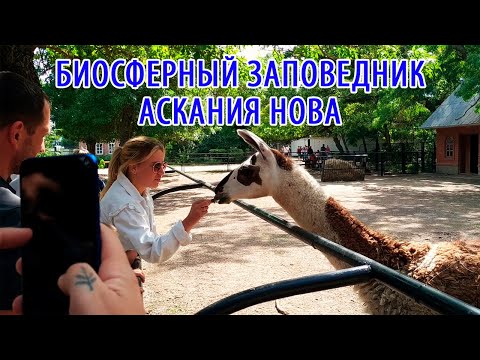 Биосферный заповедник Аскания Нова. Зоопарк, дендропарк