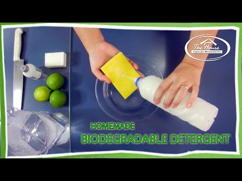 HOMEMADE BIODEGRADABLE DETERGENT