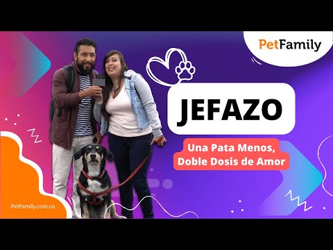 Jefazo al Mando: Una Pata Menos, Doble Dosis de Amor ✨?