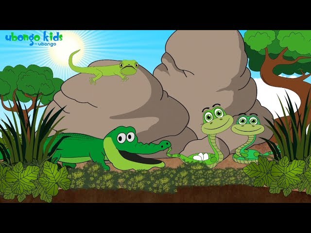 We Love Animals | Ubongo Kids | African Educational Cartoons