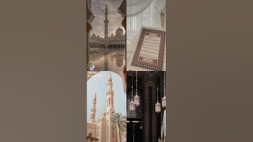 تلاوه خاشعه#قران#كريم#تيك_توك a.dam.600