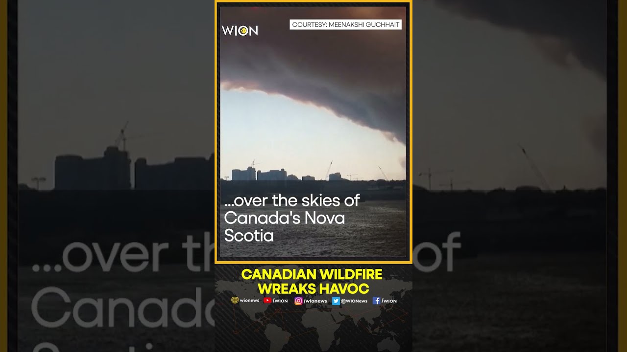 Massive Wildfire Breaks Out In Canada S Nova Scotia WION Shorts