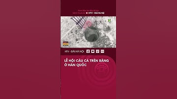 Lễ hội Câu Cá trên Băng ở Hàn Quốc - Tin Tức mới nhất hôm nay