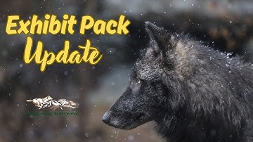 Exhibit Pack Update - 11 November 2025