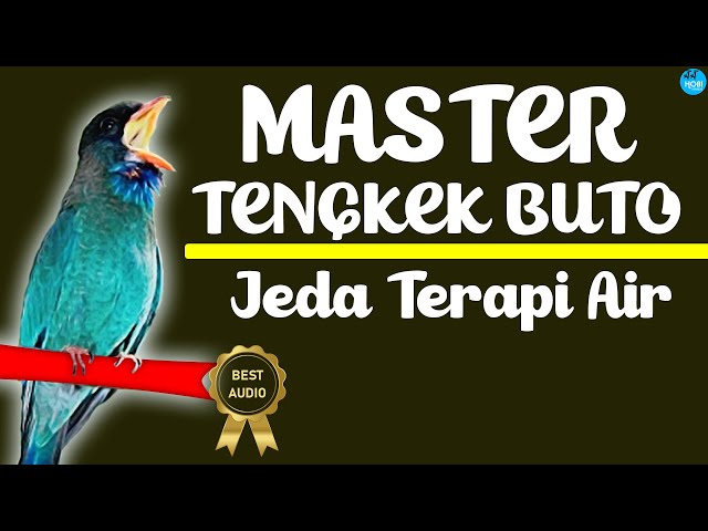 MASTER Tengkek Buto Jeda Terapi Air class=