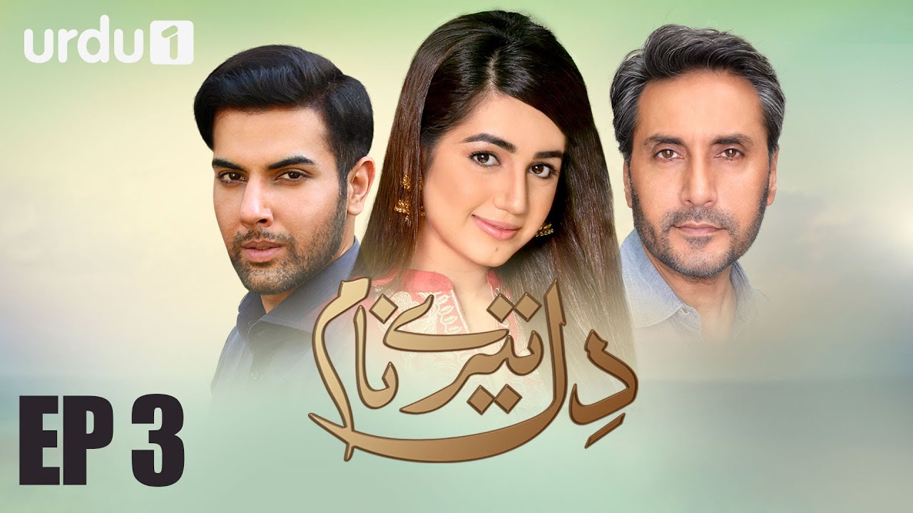 Dil Tere Naam - Episode 3 Urdu 1