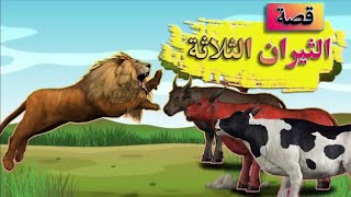 #قصة الاسد والثيران الثلاثة #حكاية