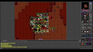 Old Tibia - EK Luring Players to a Trap (Xantera 2006 7.81)
