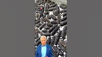 #fcnfm #machine Stainless Steel Precision: Hygienic Dehydration for Optimal Food Safety