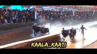 Iruvail Panilavs Bola Kakkepadavu Kambala02-01-2022