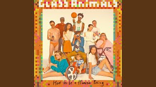 Video thumbnail of "Glass Animals - Cane Shuga"