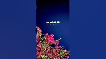#تلاوة_خاشعة من #سورة_الزمر #القارئ #احمد_النفيس #اكتب_شي_تؤجر_عليه #اكسبلور #قران_كريم #حالات_واتس