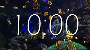 Aquarium - 10 MINUTE TIMER Sea Animals With Relaxing Music