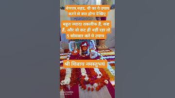 बेलपत्र, शहद, घी का ये उपाय करने से क्या होगा देखिए 🙇🙏#mhadev #love ❤️ #pandit_pradeep_ji_mishra 🙌🌹🚩