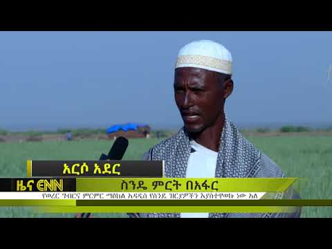 ቪዲዮ: መቋቋም የሚችል ኢራን። የአለም ድምጽ የሚፈጥር የኑክሌር ፕሮግራም