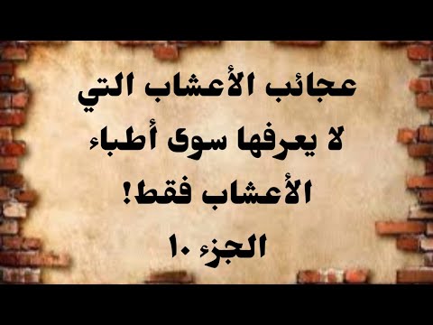 طب الأعشاب عجائب الاعشاب التي لايعرفها سوي أطباء الأعشاب ١٠