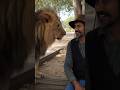 The Most Viral Animal Shorts!🦁🔥💯#shorts #trending #foryou #viralvideo