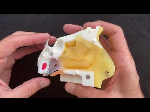 3D printed PCR test simulators - Simulateurs de tests PCR imprimés en 3D