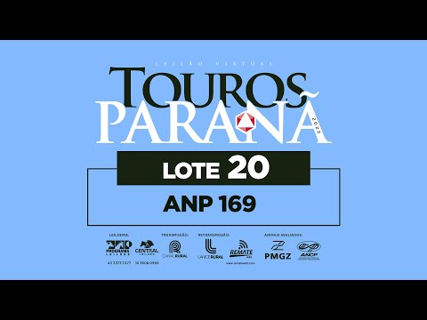 LOTE 20 ANP 169