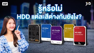 รวม HDD จาก WD แต่ละสีต่างกันยังไง? | JIB Review EP.222