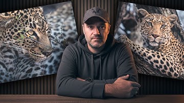 How I Actually Create My Wildlife Photos