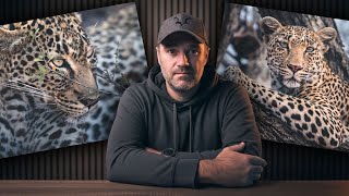 картинка: Как я на самом деле создаю фотографии дикой природы
