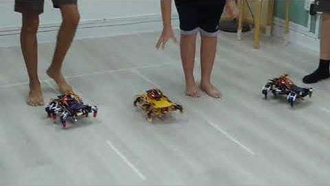 Arduino Walking Hexapod Robot 2023